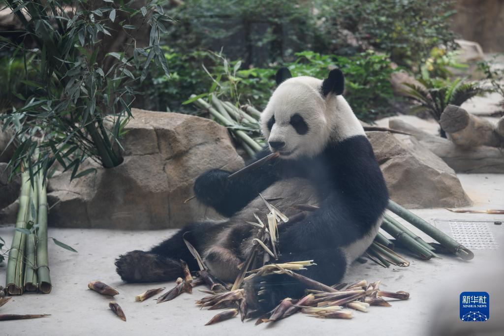华人2娱乐登录网址